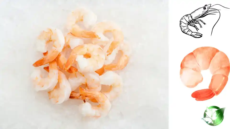Wholesale packaging for Whiteleg Shrimp can be planned for grocery retail, foodservice, store-brand, or processing distribution.